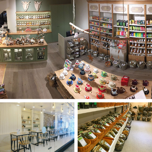 Theebox English Tea Shop "Your Wellness Collection"
