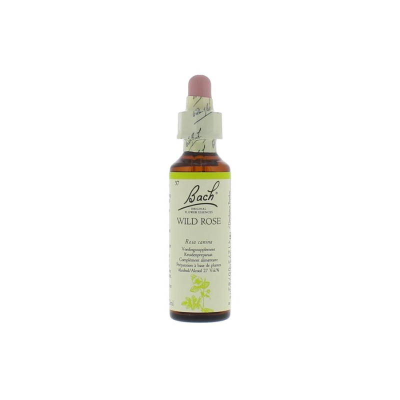 Bach Wild Rose Nr. 37, 20 ml