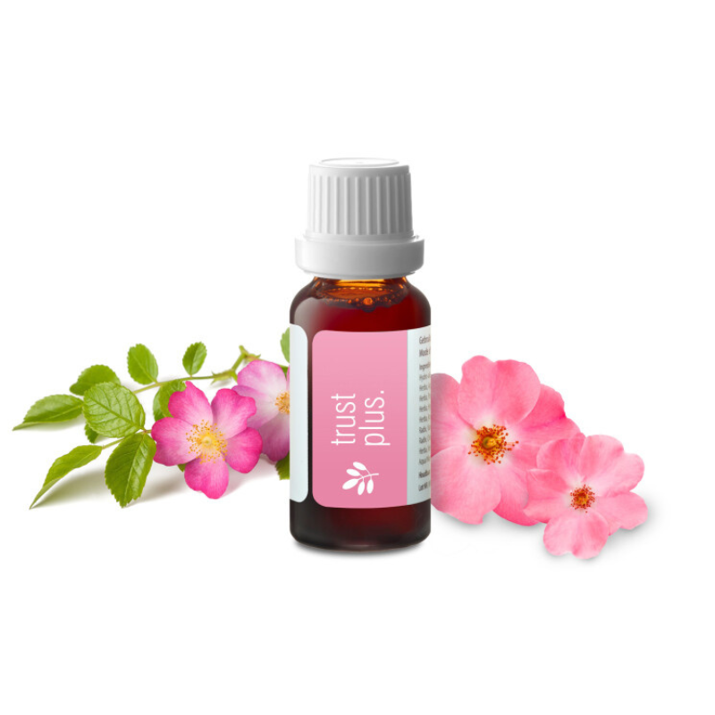 Go4Balance trust plus kruidendruppels 20ml