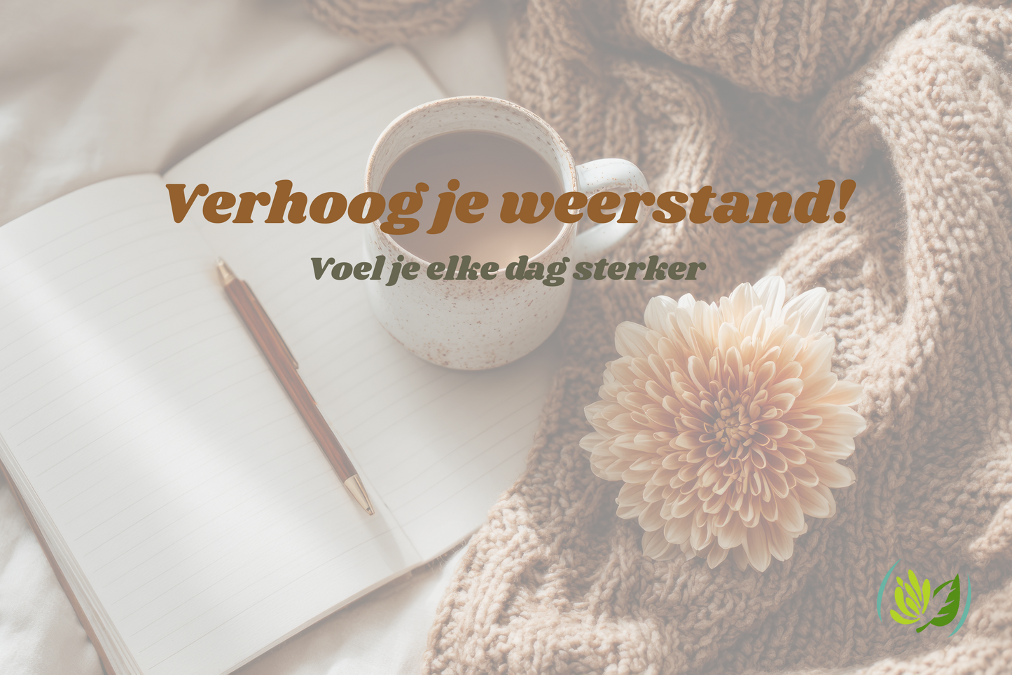 De Kruidenmozaiek