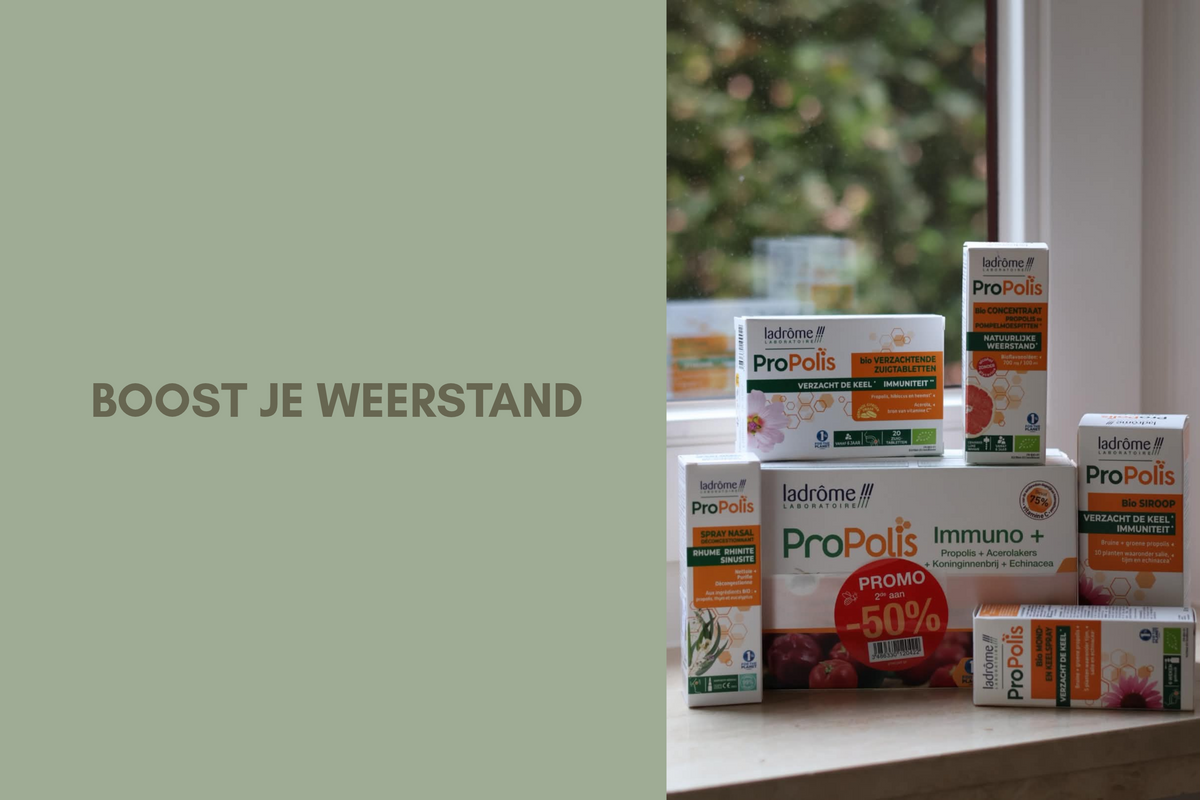 De Kruidenmozaiek