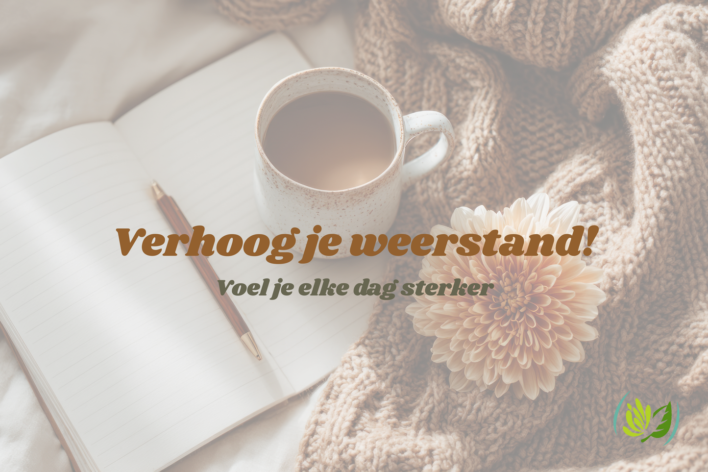 De Kruidenmozaiek