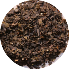 Blaaswier (Zeewier, Kelp)