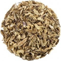 
                  
                    Echinacea
                  
                