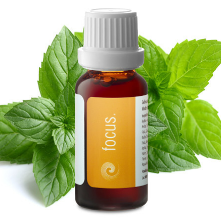 
                  
                    Go4Balance focus kruidendruppels 20ml
                  
                