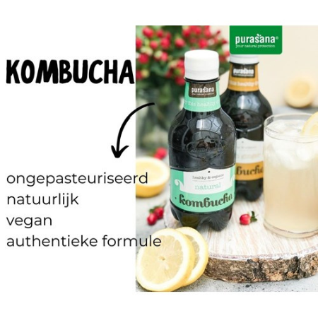 
                  
                    Purasana Kombucha natuur - 330 ml
                  
                