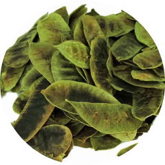 
                  
                    Sennepeul
                  
                
